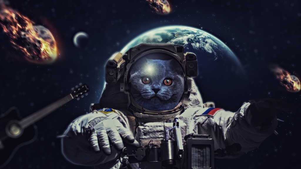 cat, space, sci fi astronaut 4k ultra hd wallpaper