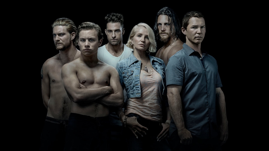 animal kingdom hd wallpaper