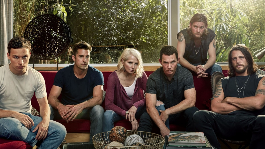 animal kingdom hd wallpaper