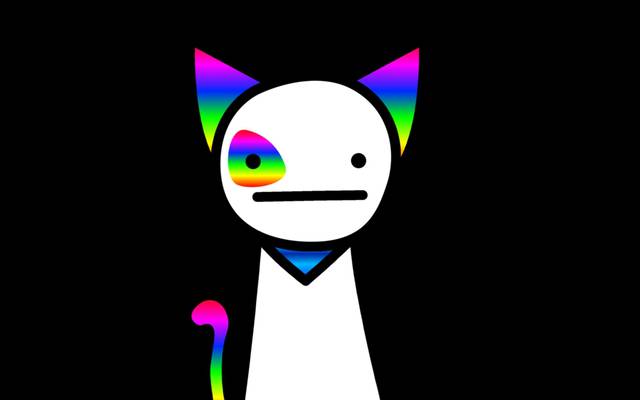 meme cat hd wallpaper