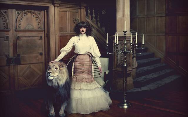 lion, candle, stairs, alice's night circus hd wallpaper