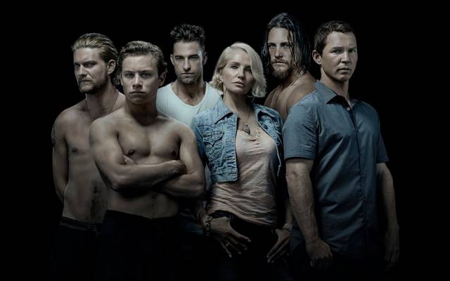 animal kingdom hd wallpaper