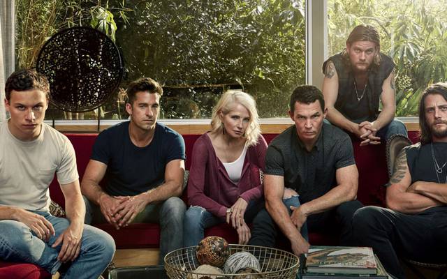 animal kingdom hd wallpaper